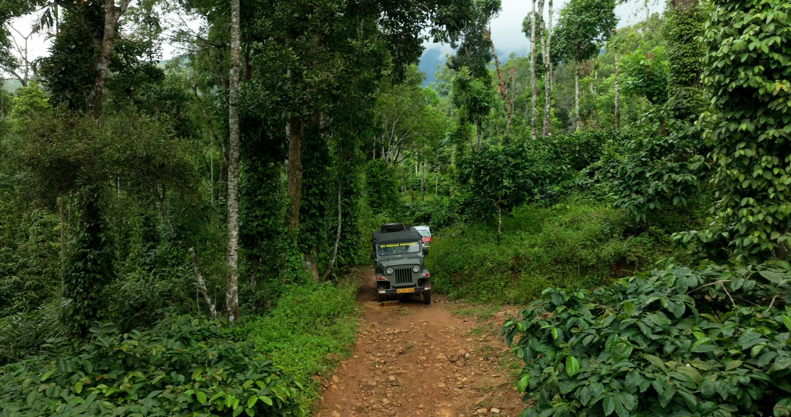 DJI_0839.00_00_48_40.Still011